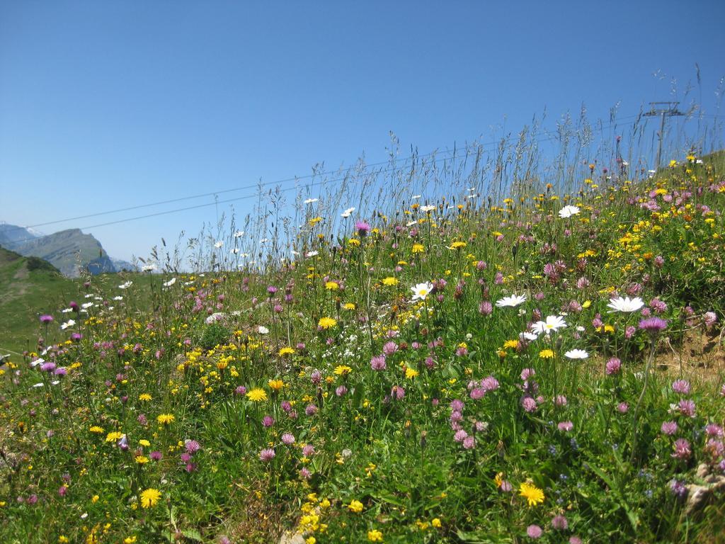 Haus Sonnseite Ξενοδοχείο Au (Vorarlberg) Εξωτερικό φωτογραφία